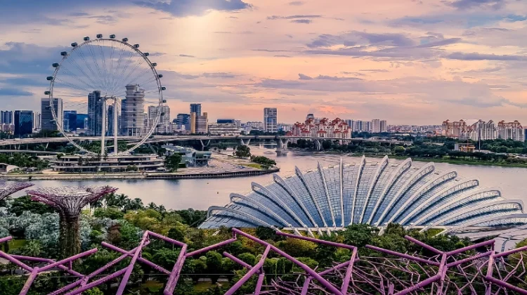 CLI-C APAC Clinical Masterlass Singapore